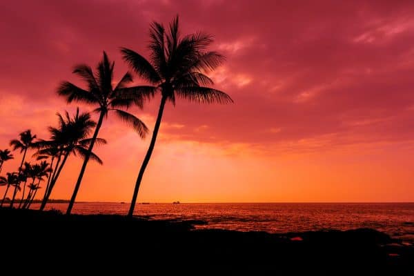 Kona Fishing Charter Kona Fishing Charters Kona Fishing Near Me