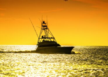 Marlin Season in Kona: What to Know